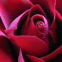 tapety na telefon, komórkę