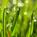 tapety na telefon, komórkę